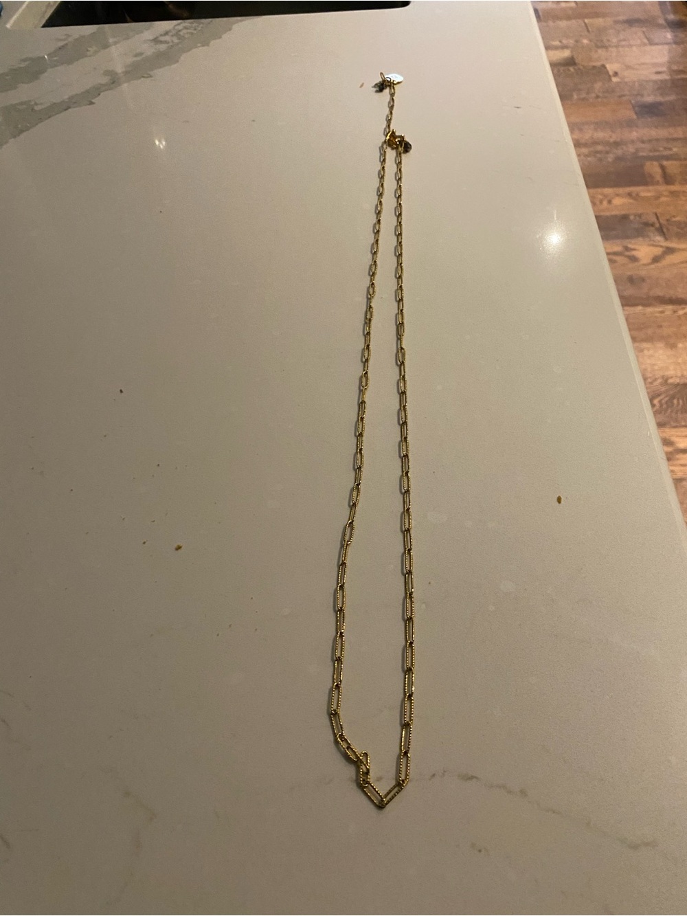 Gold Link Hen&Bear Necklace